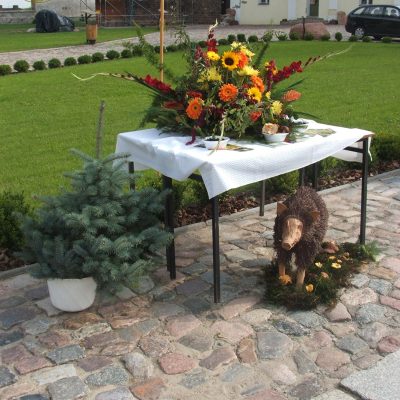 Dożynki 2007 (13)