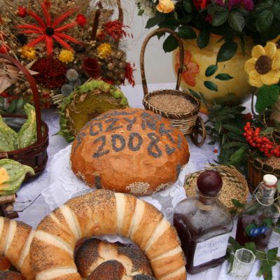 Dożynki 2008 (35)
