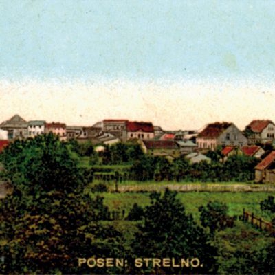 Strzelno. Panorama cząści północno-wschodniej widziana z ogrodów ul. Cegiełka (ok. 1900 r.)