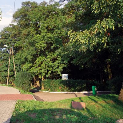 Ulica Parkowa. Park im. 750-Lecia, ściana północna (2011 r.)