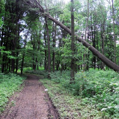 Ulica Parkowa. Park im. 750-Lecia. Część południowo-wschodnia niezagospodarowana (2011 r.)
