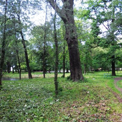 Ulica Parkowa. Park im. 750-Lecia. Widok od południowego wschodu (2011 r.)