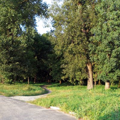 Ulica Parkowa. Park im. 750-Lecia. Widok od ul. Brzozowej (2011 r.)