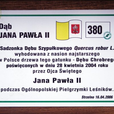 fot: K. Rymaszewski